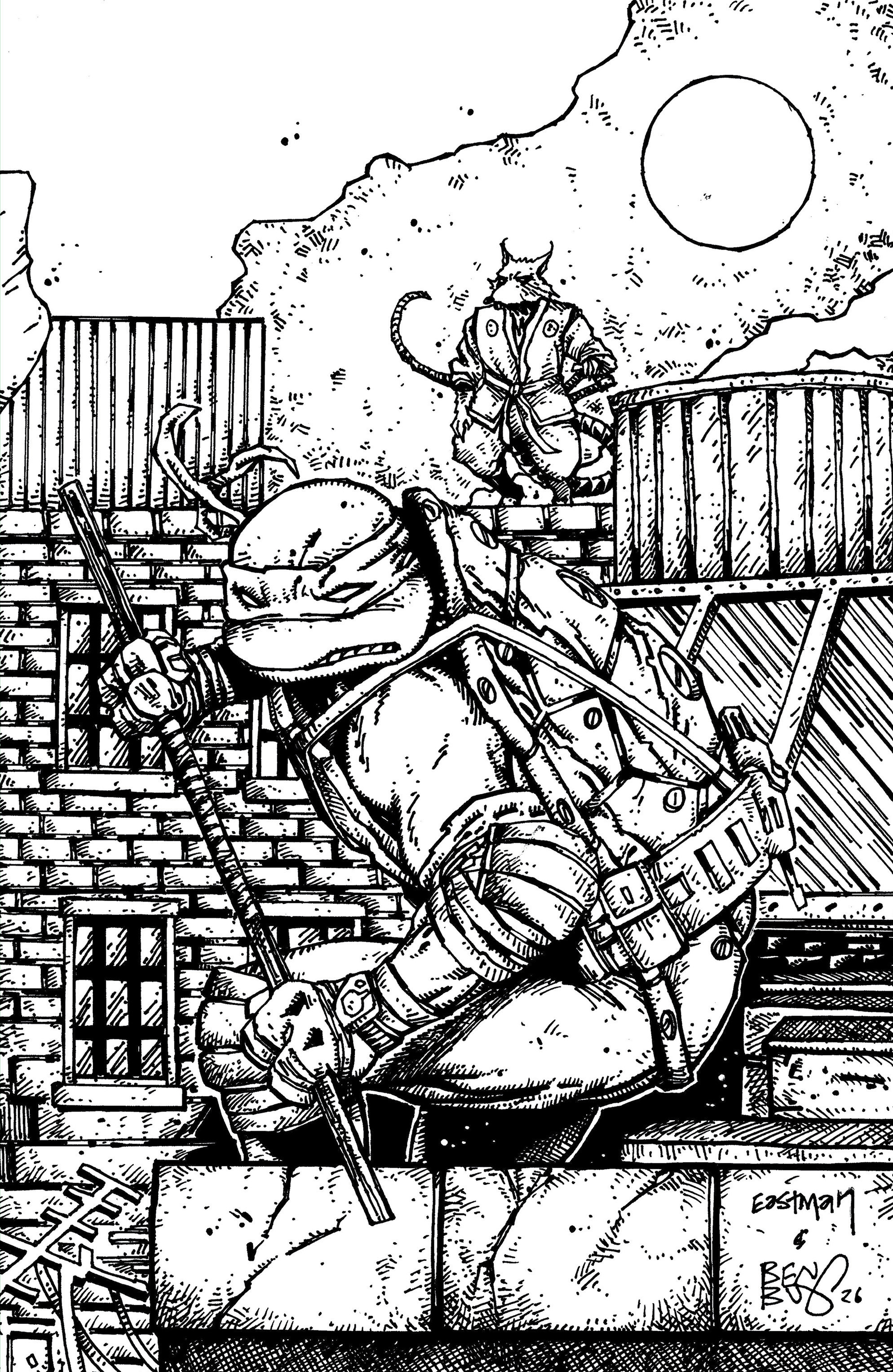 Teenage Mutant Ninja Turtles #24 Variant Ri (10) (Eastman & Bishop Black & White Full Art)