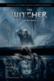  * ANDRZEJ SAPKOWSKİS THE WİTCHER THE WİTCHER PRE ORDER/ÖN SİPARİŞ [AUG25] | DARK HORSE | AUG251984 | 
