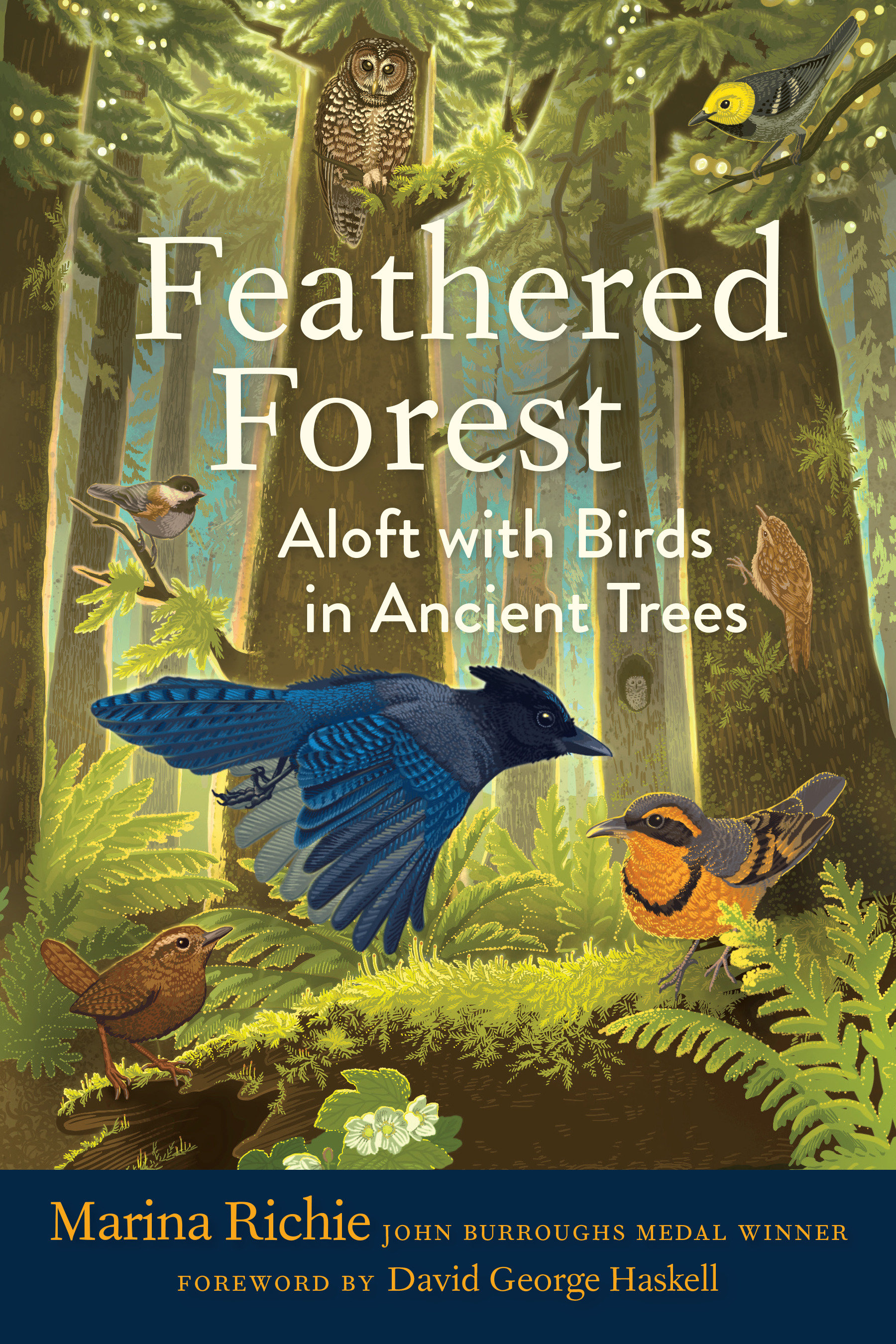 Feathered Forest