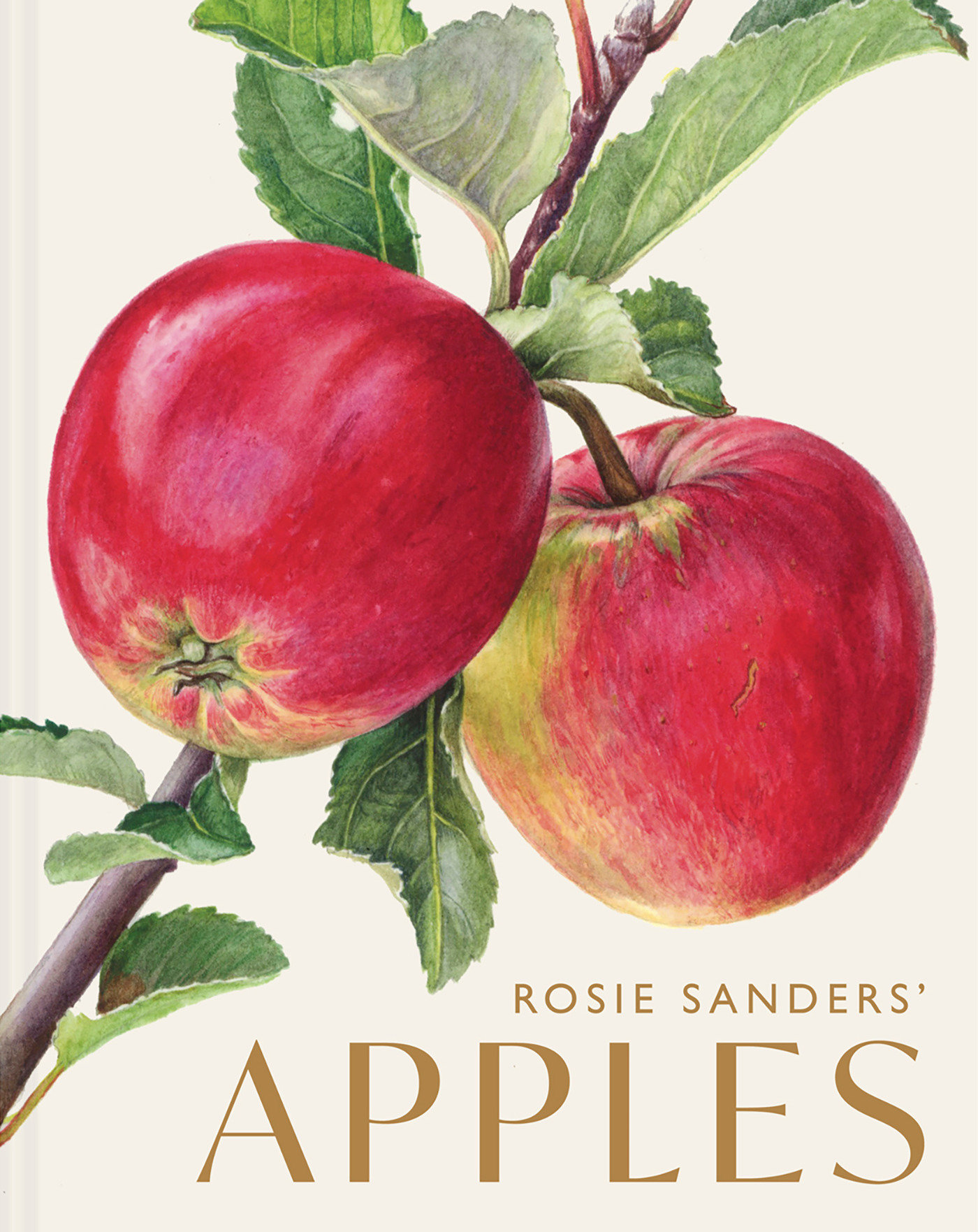 Rosie Sanders’ Apples