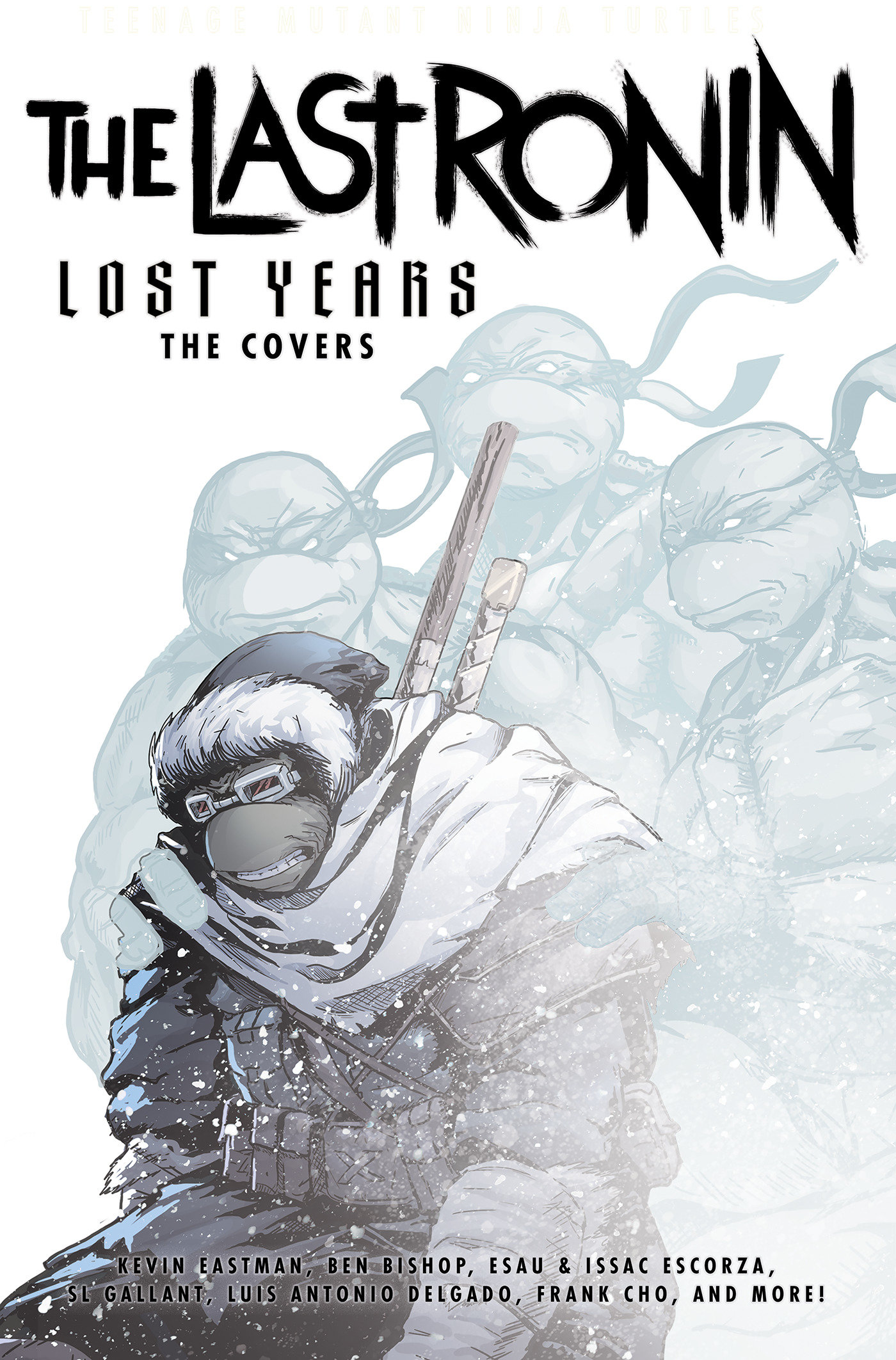 Teenage Mutant Ninja Turtles: The Last Ronin Lost Years  The Covers