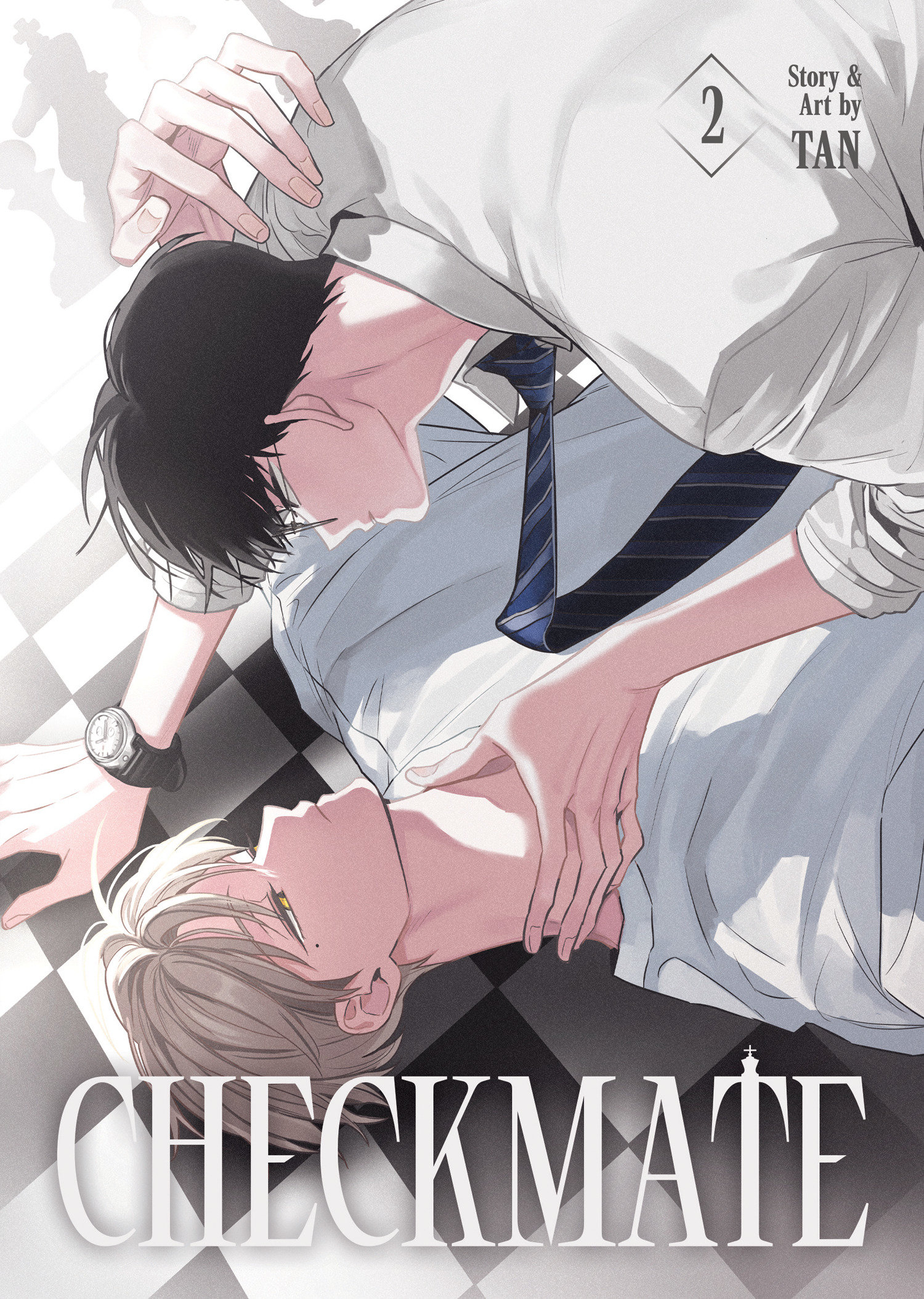 Checkmate Graphic Novel Volume 02 (Mature) 