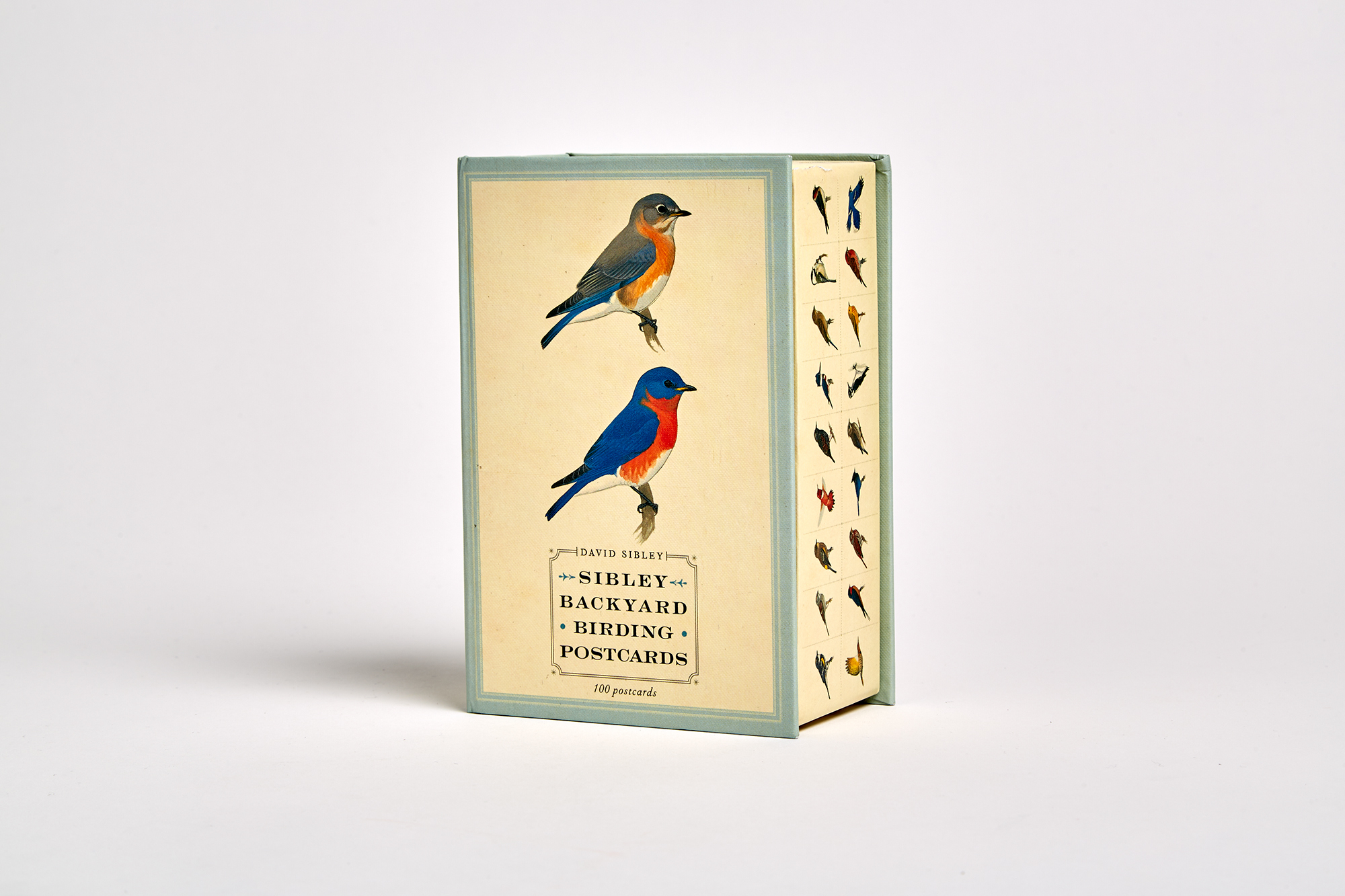 Sibley Backyard Birding Postcards Penguin Random House Retail