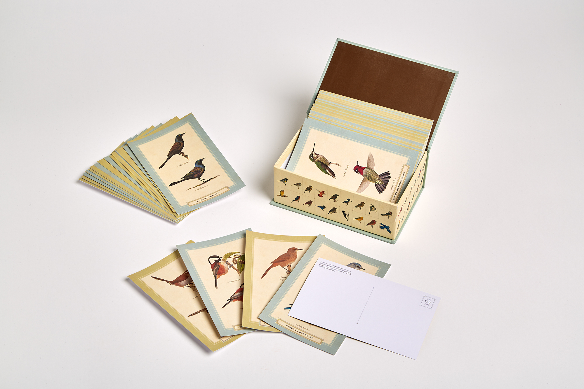 Sibley Backyard Birding Postcards Penguin Random House Retail